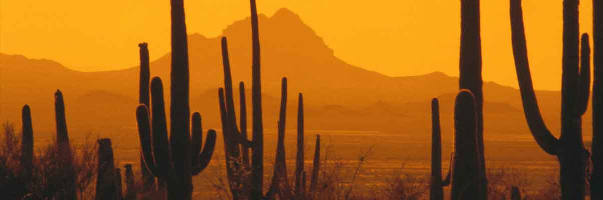 Arizona