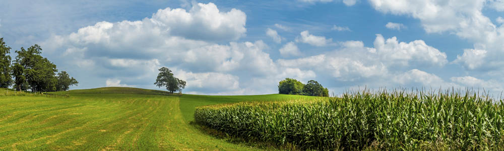 Wisconsin