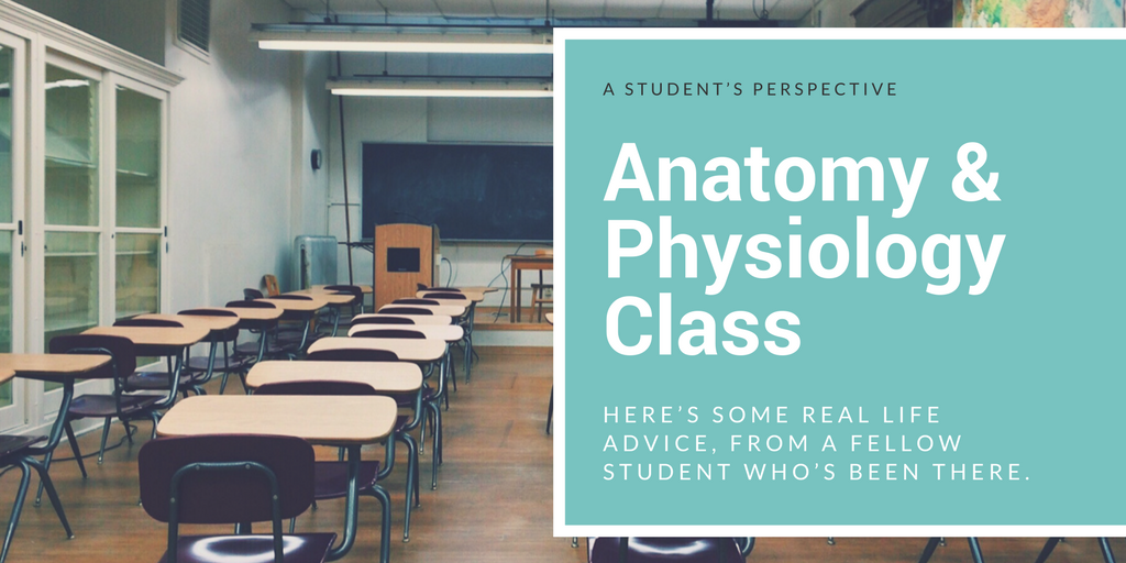 Anatomy & Physiology Class
