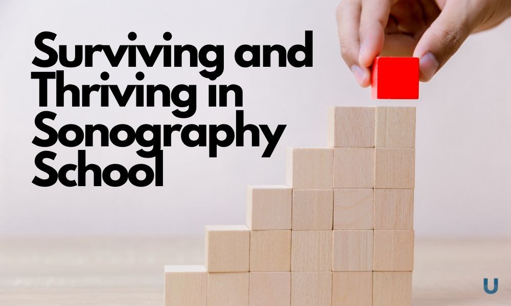 Surviving and Thriving in Sonography School